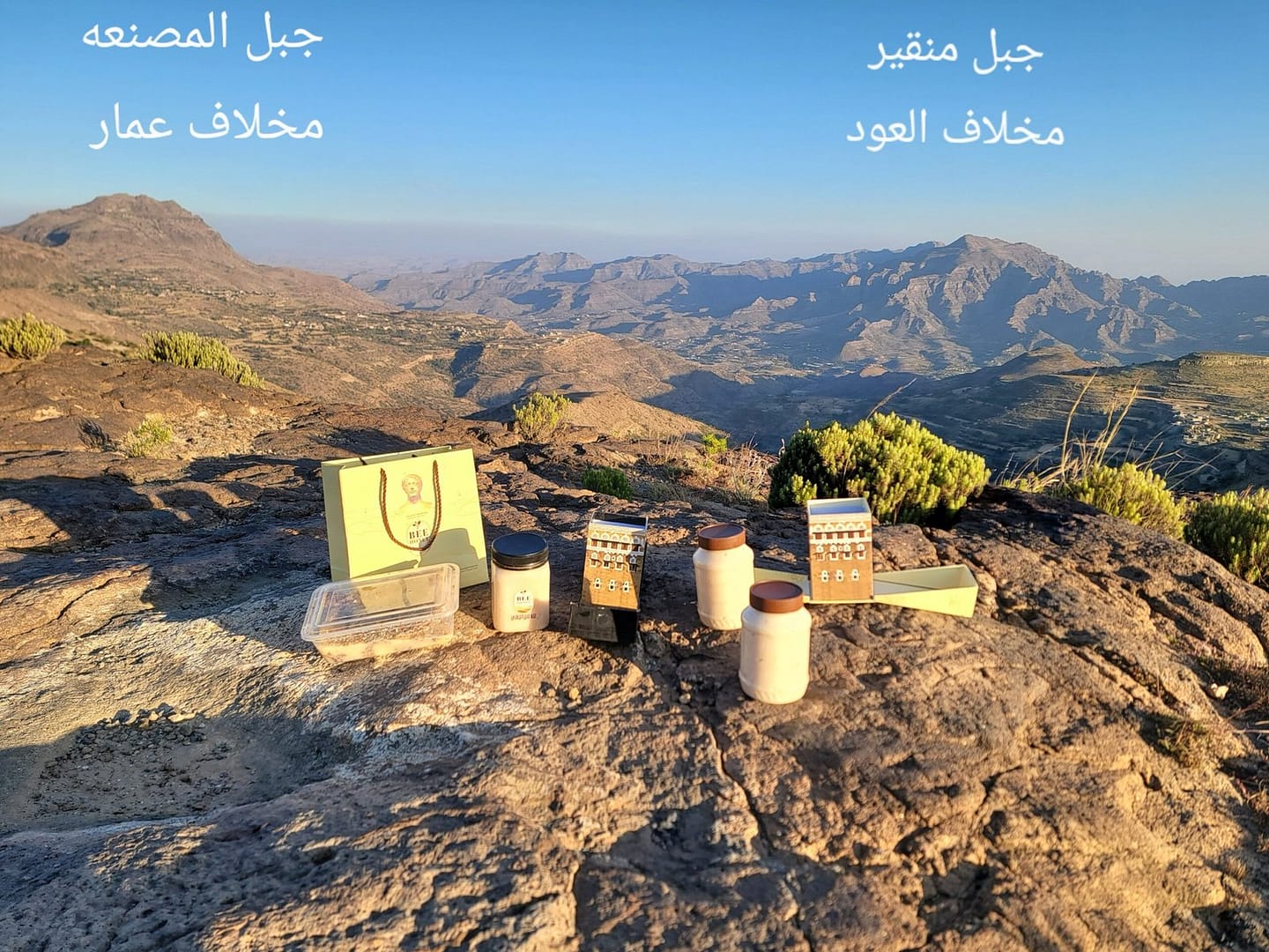 عسل صورب أبيض (عسل عودي) - Image 3