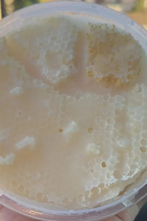 عسل عودي (شمع+سائل)